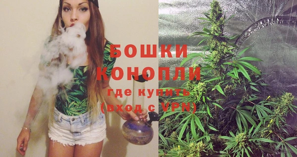 твердый Осинники