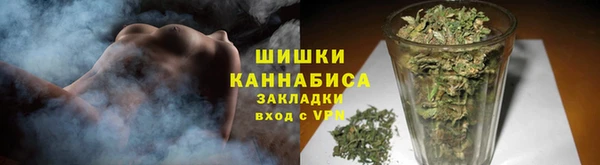 твердый Осинники