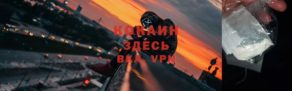 твердый Осинники