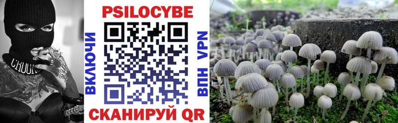 Галлюциногенные грибы Psilocybe  Купить  Чистополь 